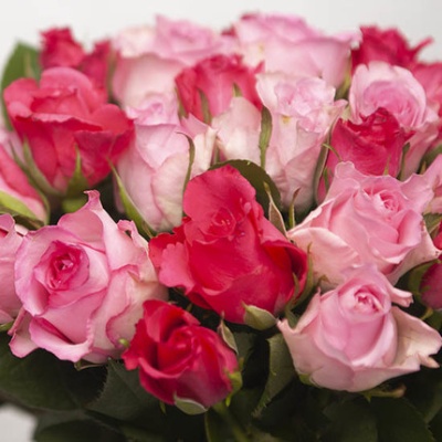 ramo-de-rosas-ternura-430x430 ramo-de-rosas-ternura-430x430