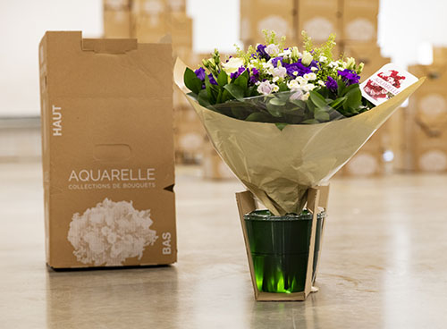 Embalaje de flores de Aquarelle
