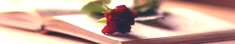 Sant Jordi Rosa y  libro
