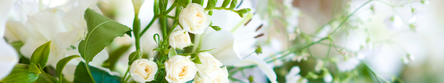 Dia de la madre flores blancas