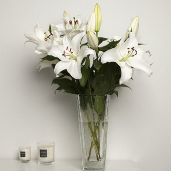 Bouquet de lys en vase