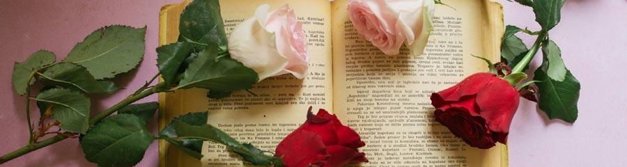 banner_sant_jordi_libro_rosas_900x240 banner_sant_jordi_libro_rosas_900x240