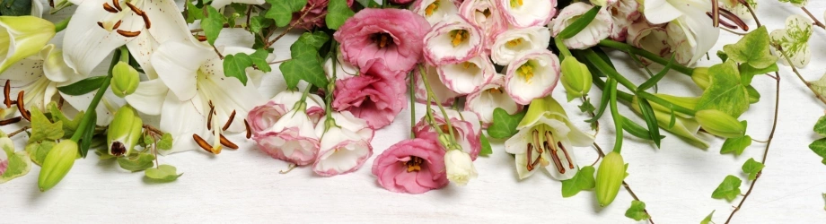 banner_primavera banner_primavera