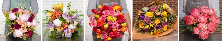 varios_ramos_914x172 varios_ramos_914x172