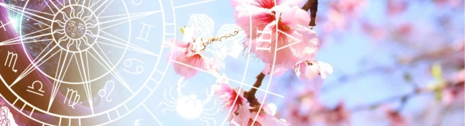 banner_libra banner_libra
