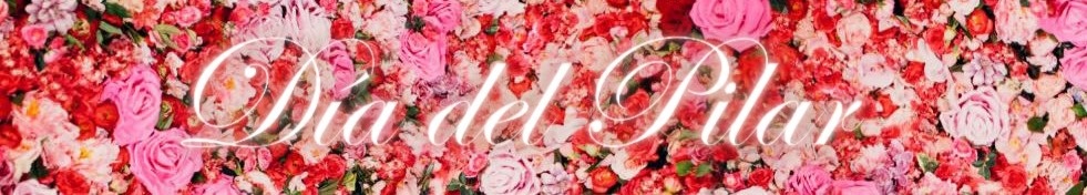 dia-del-pilar-banner-981x176 dia-del-pilar-banner-981x176