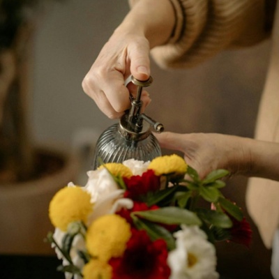Consejos para cuidar plantas de interior