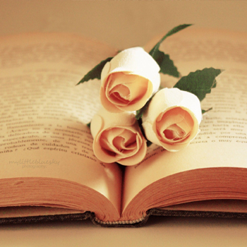 sant-jordi-tres-rosas-blancas sant-jordi-tres-rosas-blancas