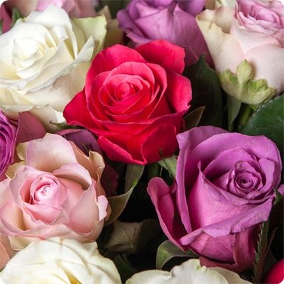rosas-pilar-400x400