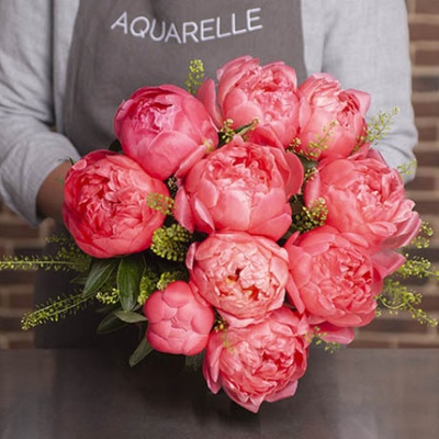 peonias-coral-430x430 peonias-coral-430x430