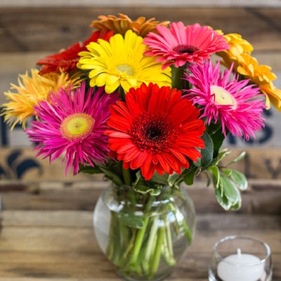 margaritas_colores_400x400 margaritas_colores_400x400