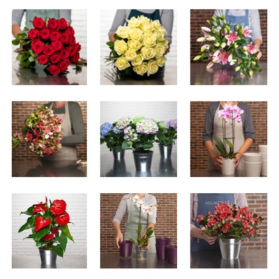 elegir_ramo-550x550 elegir_ramo-550x550