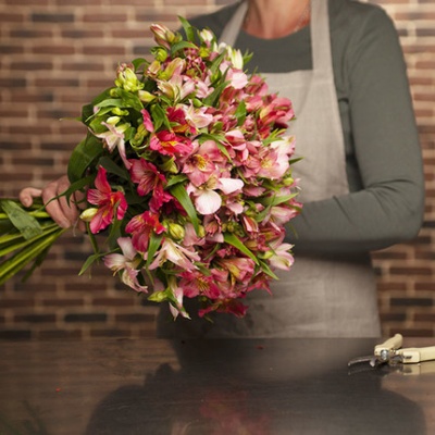 alstroemerias_ramo_430x430 alstroemerias_ramo_430x430