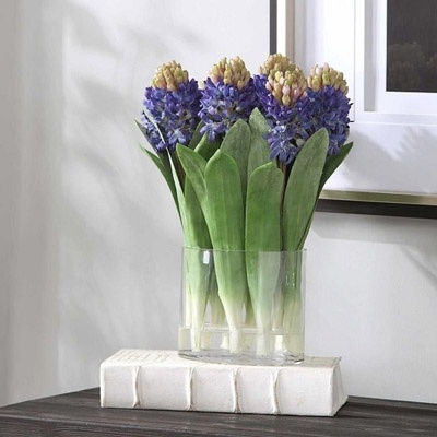 jacinto_decorativo_400x400 jacinto_decorativo_400x400