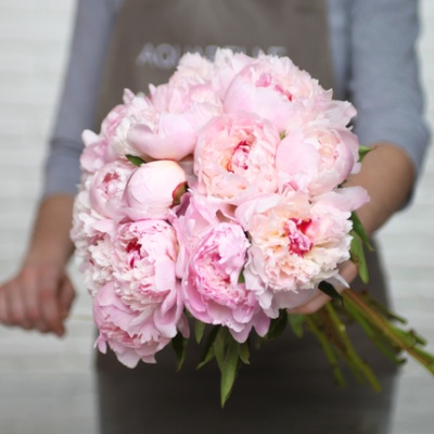 peonias-rosas-en-mano-florista-430x430 peonias-rosas-en-mano-florista-430x430
