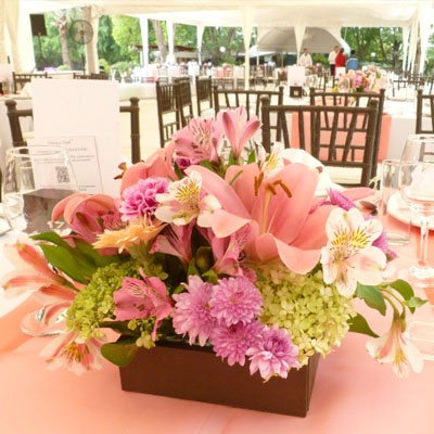 astromelias_evento_400x400 astromelias_evento_400x400