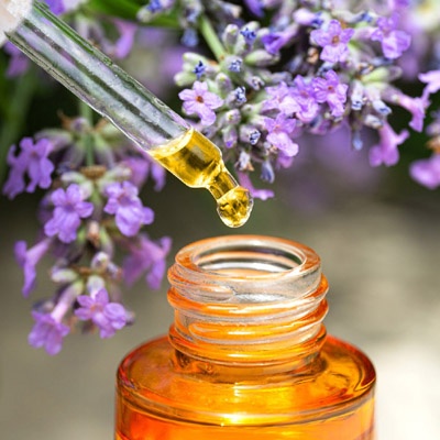 lavanda__cur_400x400 lavanda__cur_400x400