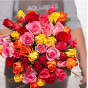 varios_ramos_914x172 varios_ramos_914x172