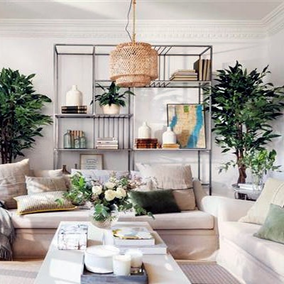 mudanza_salon_flores_400x400 mudanza_salon_flores_400x400