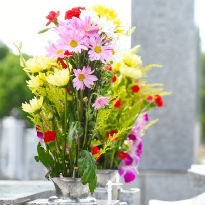 flores-santos-lap-b-400x400 flores-santos-lap-b-400x400