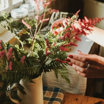 astilbe-cuidados-400x400 astilbe-cuidados-400x400