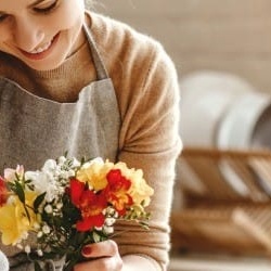 carmen-920x250 carmen-920x250