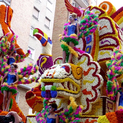 batalla_flores_laredo_400x400 batalla_flores_laredo_400x400