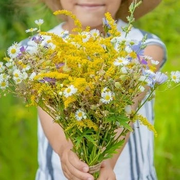 dia_del_carmen_4_350x350 dia_del_carmen_4_350x350