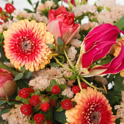 1955-bqt-astro-aries 1955-bqt-astro-aries