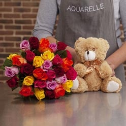 rosas_peluche-248x248 rosas_peluche-248x248