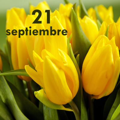 Flores amarillas: La foto del 21 de Septiembre