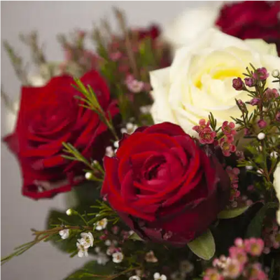 El significado de las rosas, seg&uacute;n su color y su n&uacute;mero