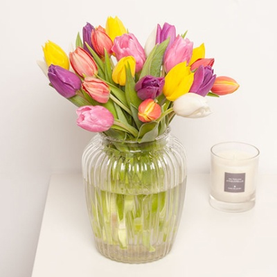 tulipanes-de-colores-flores-a-domicilio-430x430 tulipanes-de-colores-flores-a-domicilio-430x430