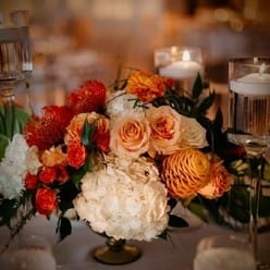 navidad-flores-248x248 navidad-flores-248x248