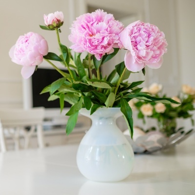 peonias-interior-400x400