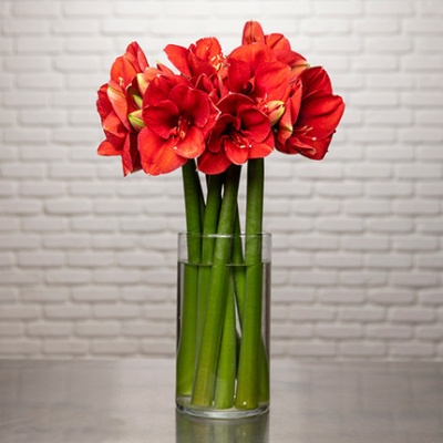 Flores de temporada y su disponibilidad