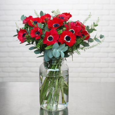san-valentin-anemonas-430x430 san-valentin-anemonas-430x430