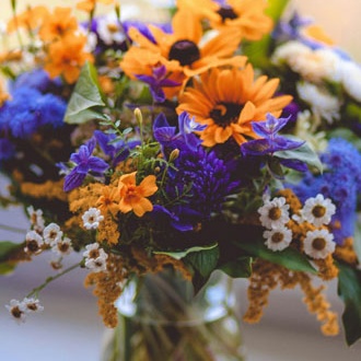 girasoles_animo_330x420 girasoles_animo_330x420