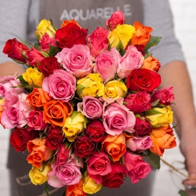 Rosas multicolores para mamá Variedades florales de primavera
