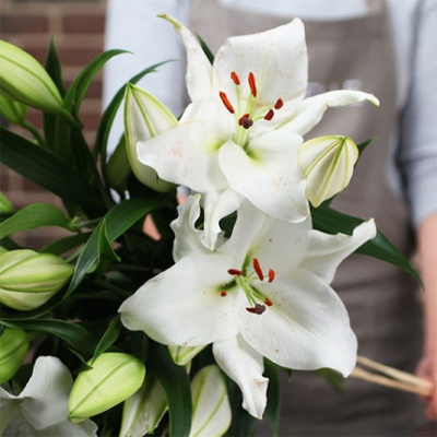 ramo-de-lirios-florista-430x430 ramo-de-lirios-florista-430x430